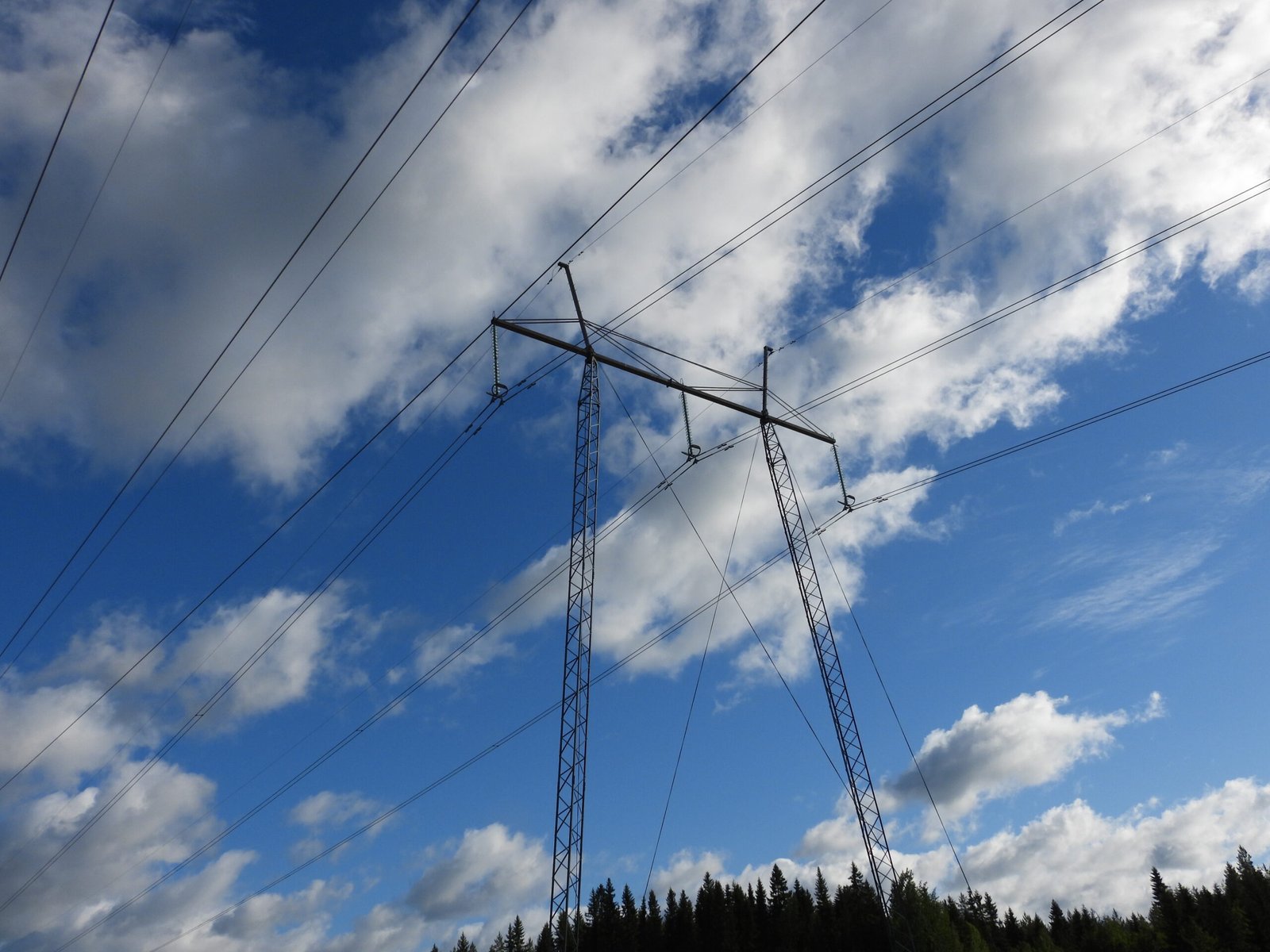 Switch Nordic Green AB Filial Finland gallery image 2